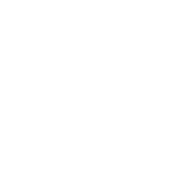 الترجمة الأدبية