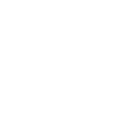 الترجمة الاقتصادية