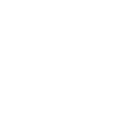 الترجمة السياسية