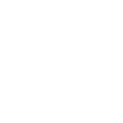 تدقيق لغوي احترافي