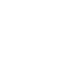 ترجمة محتوى حكومي