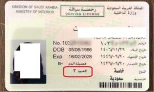 ترجمة رخصة القيادة 11