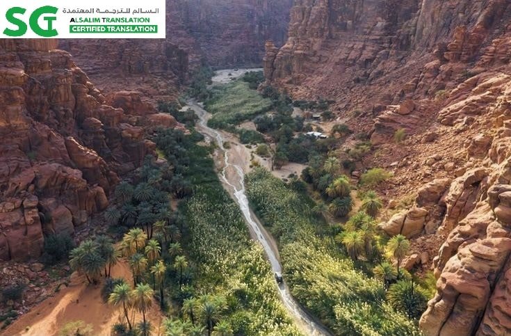 مكتب ترجمة معتمد حي الحمراء جدة