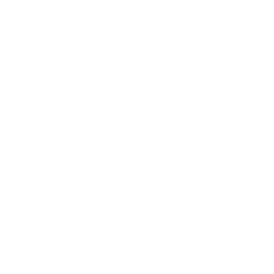 Academic translation
