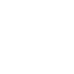 Engineering translation