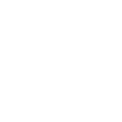 Website and e store translation